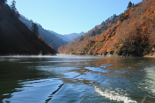 名残り・・・朝霧、紅葉