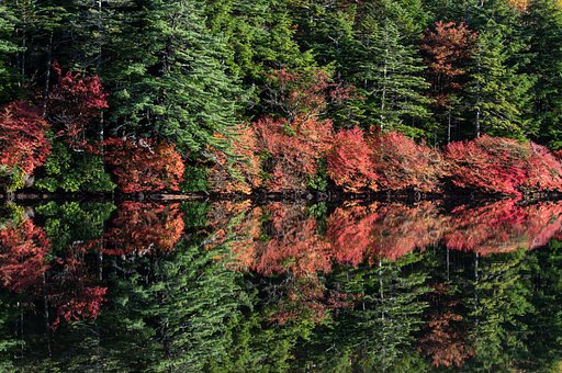 ReflectionⅠ