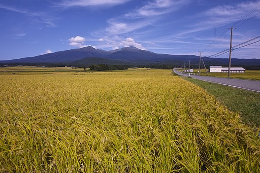 秋の鳥海山