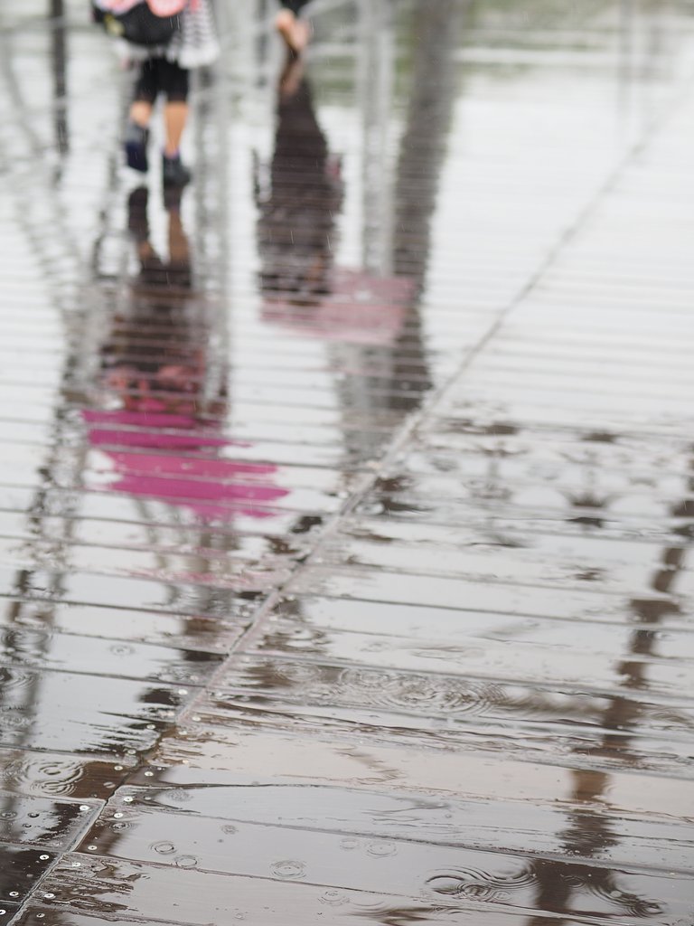 雨の「汽車道」