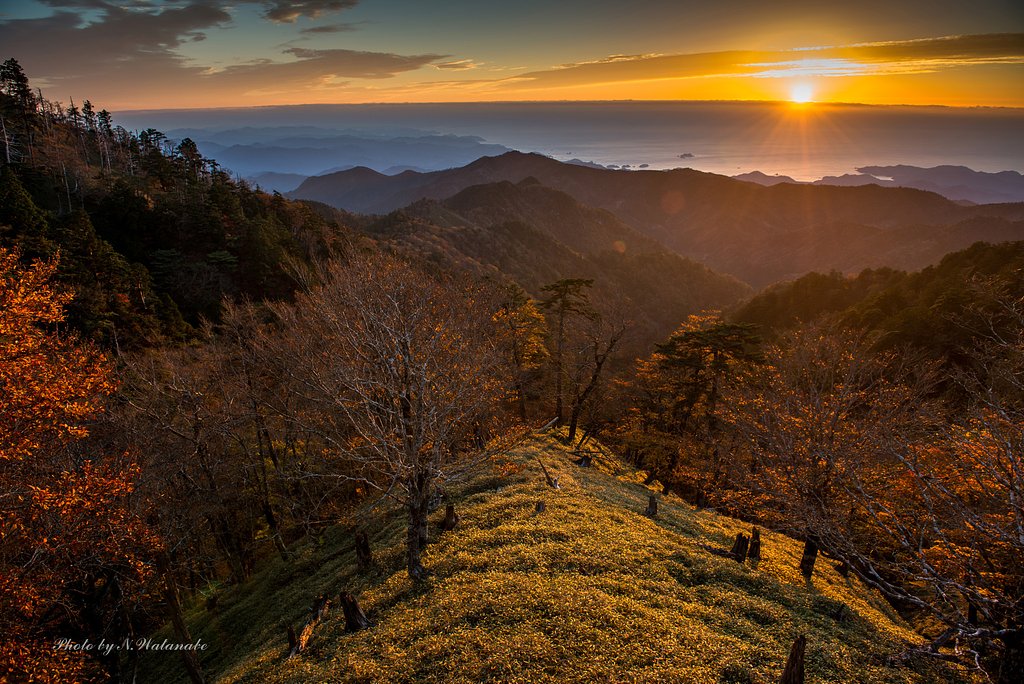 秋の大台ケ原