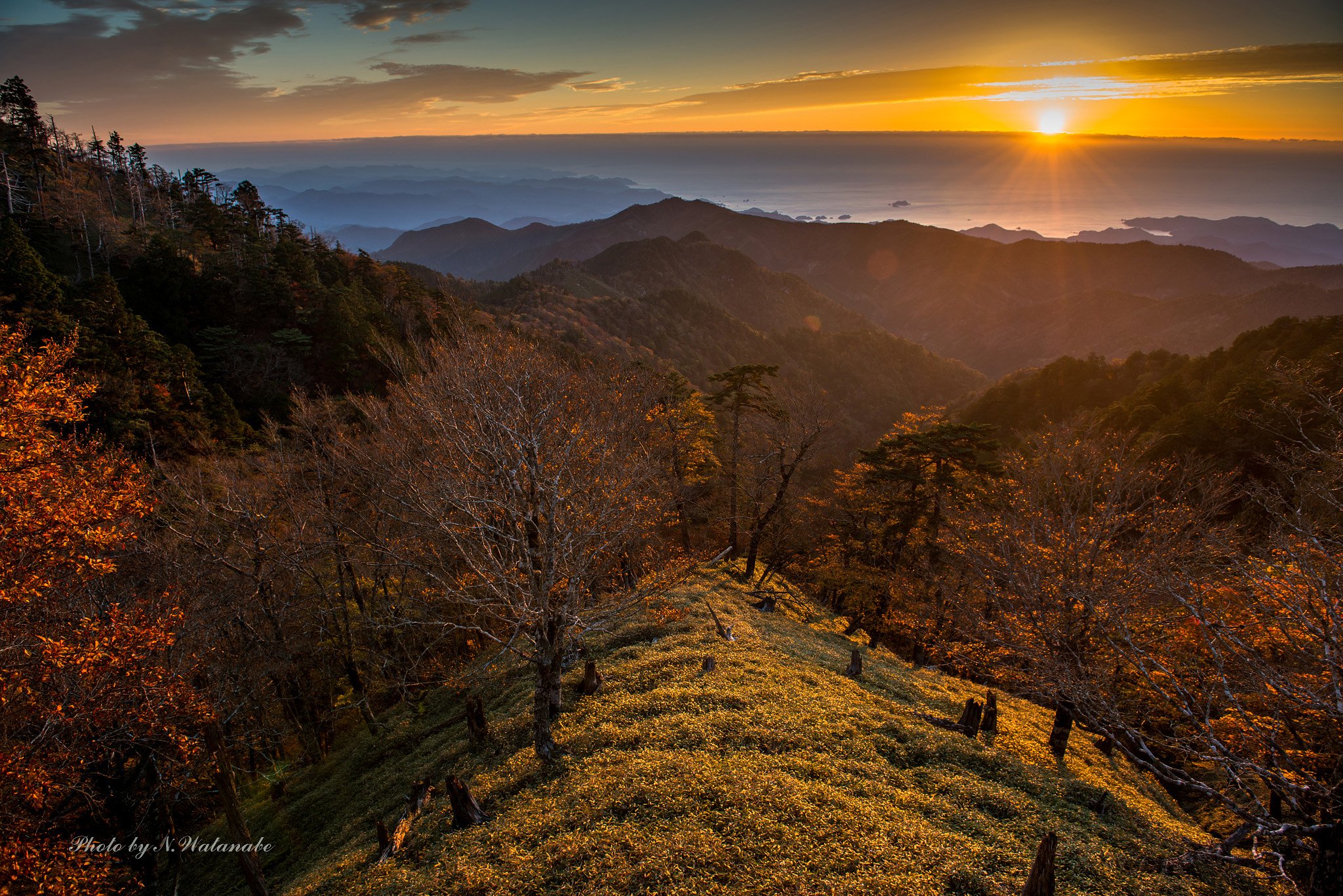 秋の大台ケ原