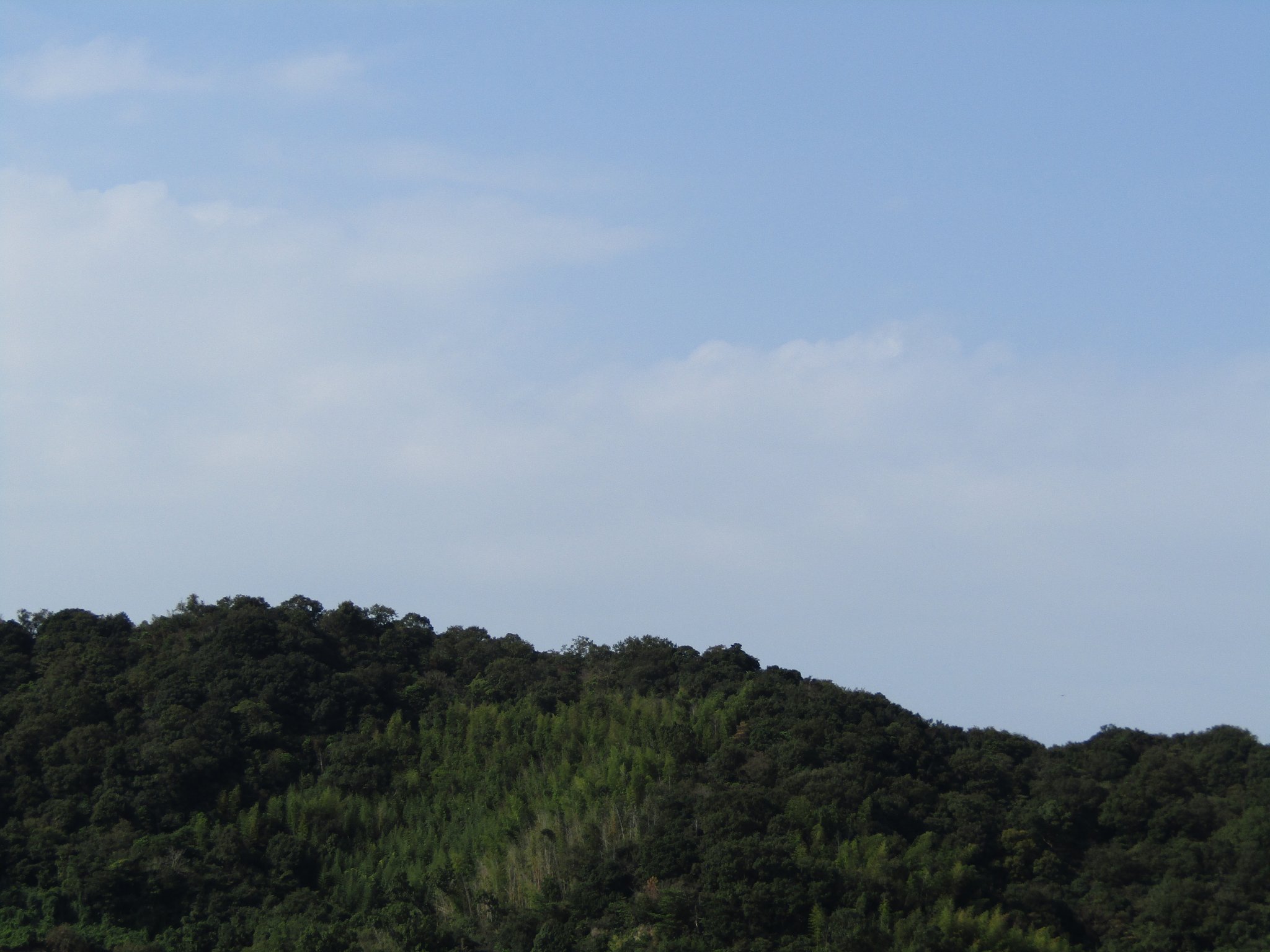 秋の山＆秋の青空　面白いです、、