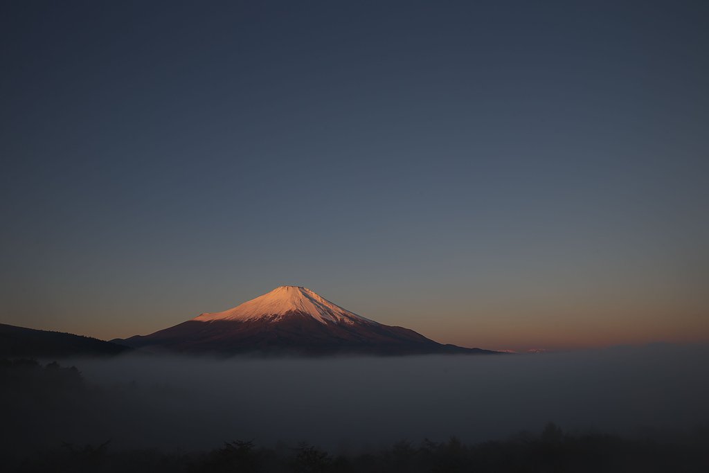 紅富士