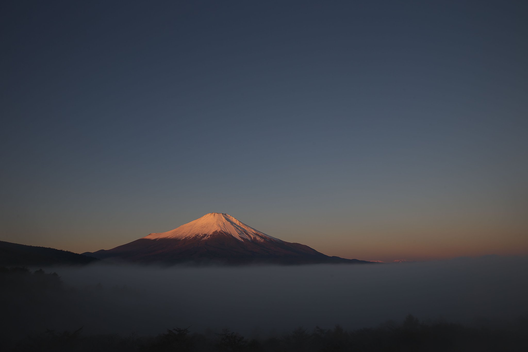 紅富士