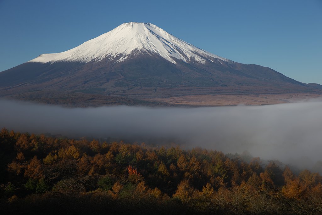 初頭の彩り