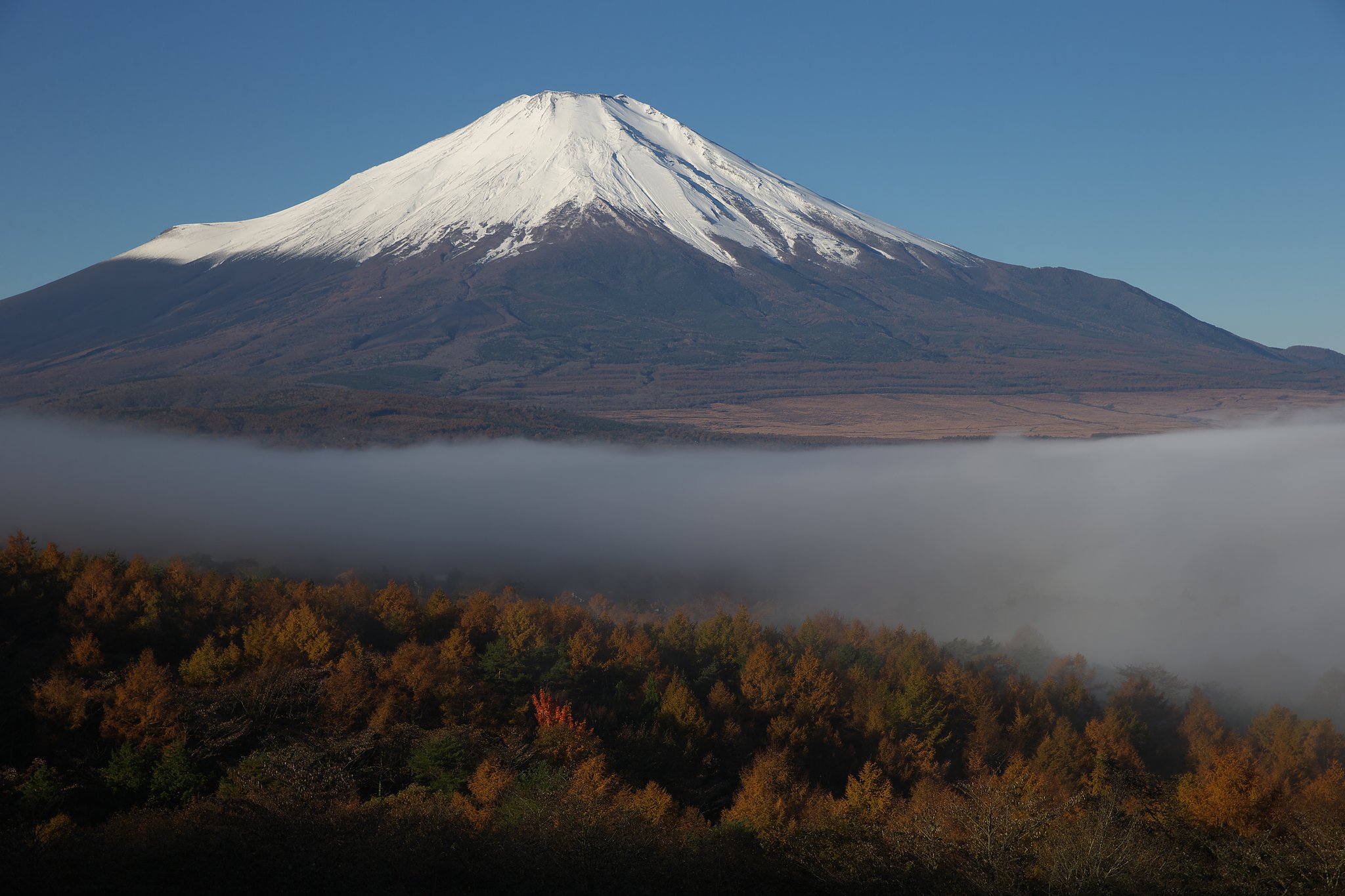 初頭の彩り
