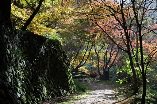 山道