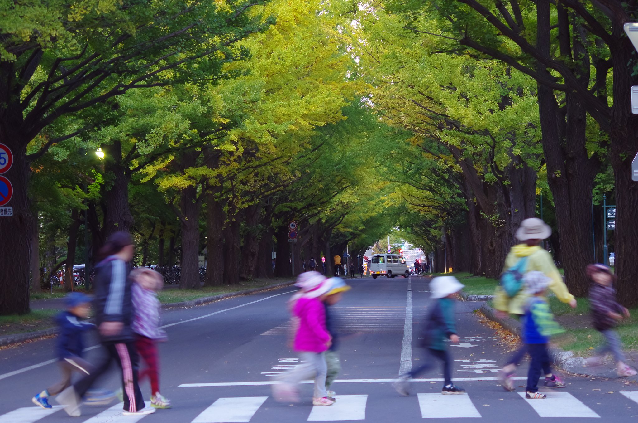 横断歩道