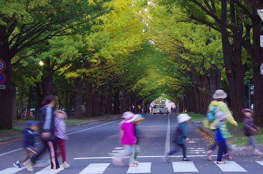 横断歩道