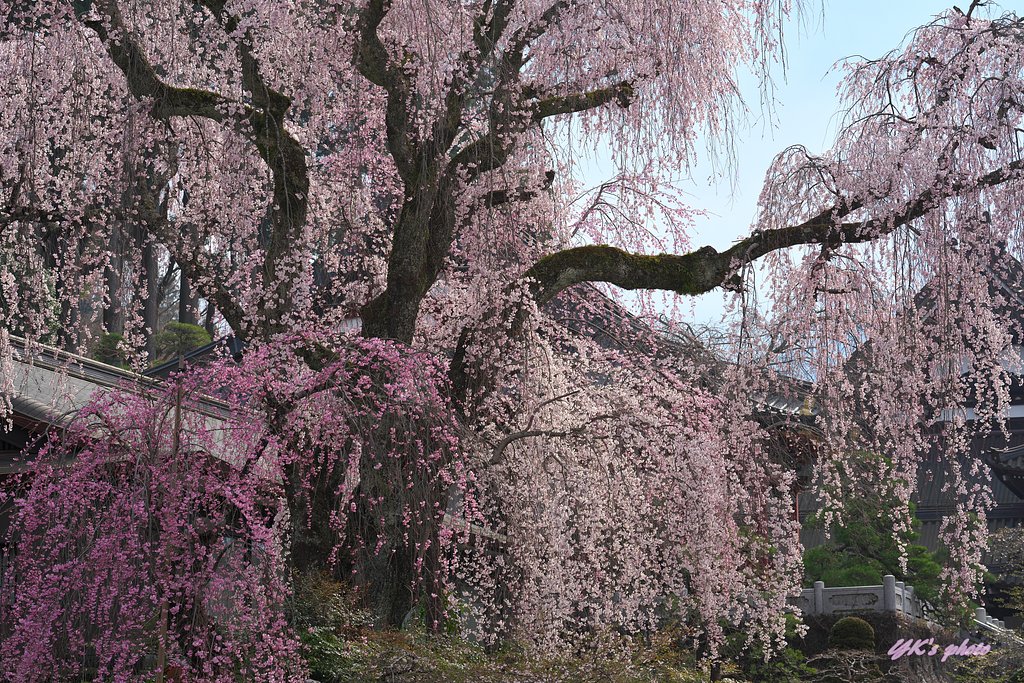 威風堂々
