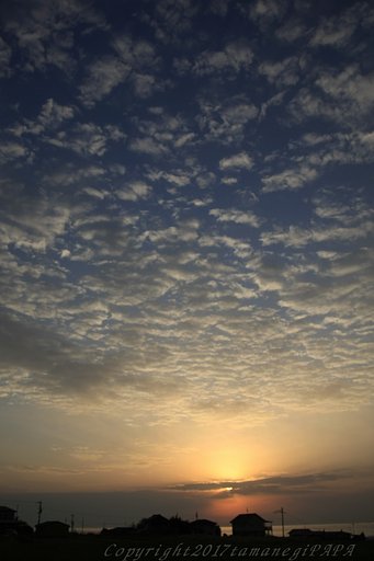 朝が来た