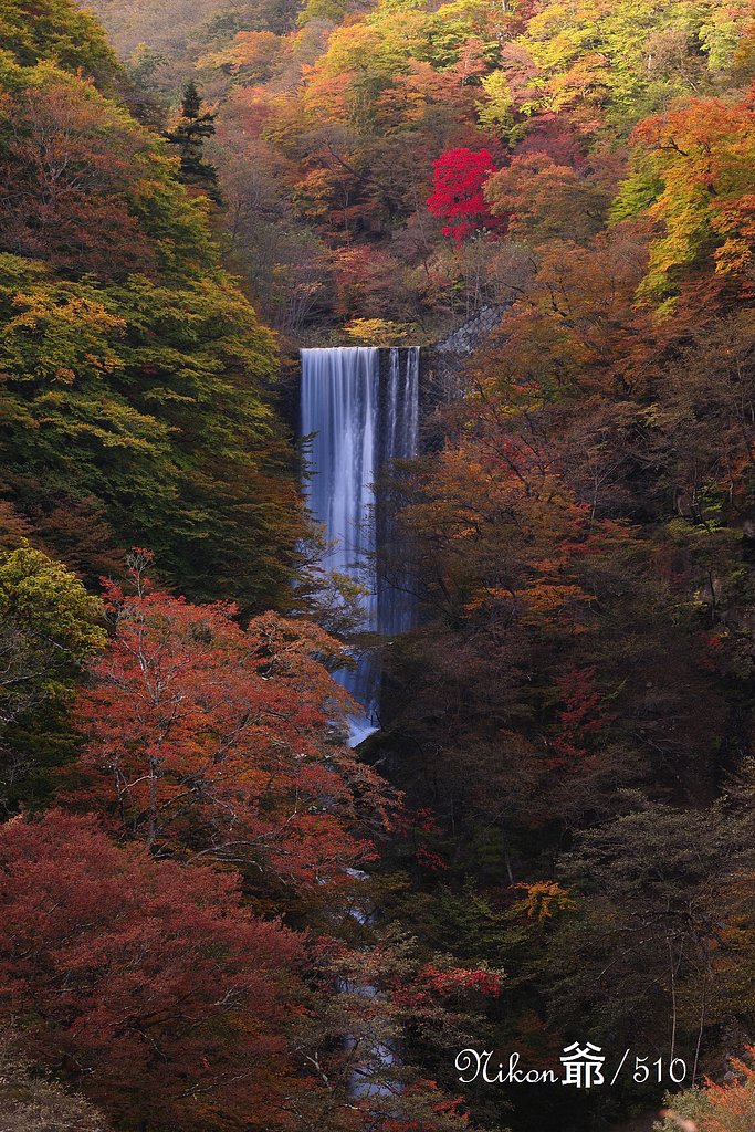 日光彩
