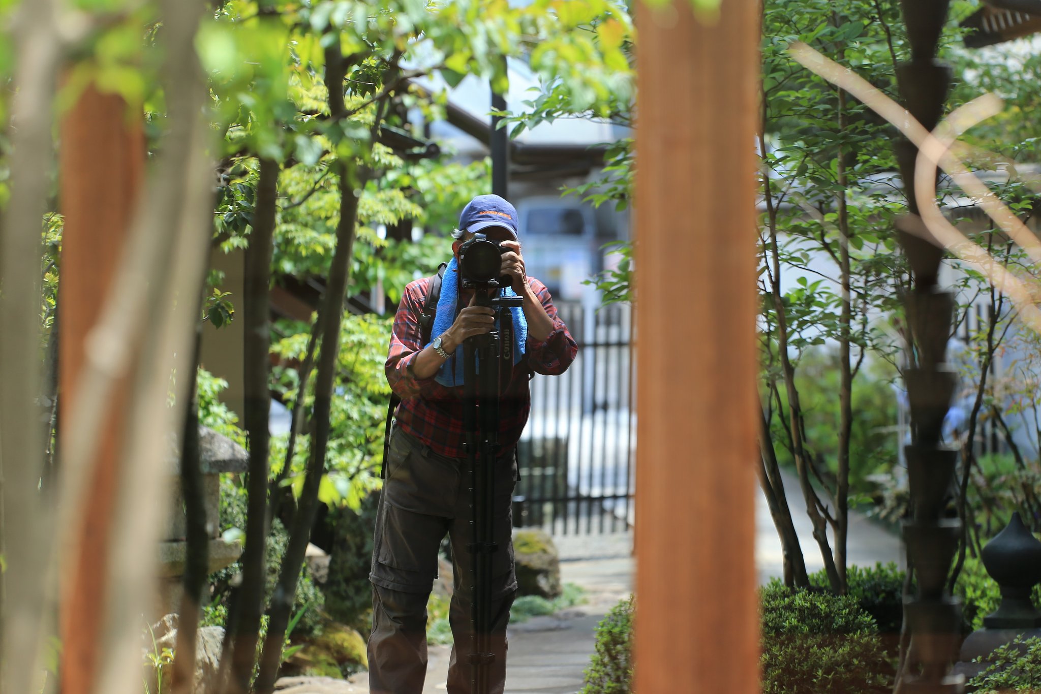 自画像