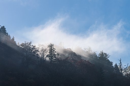 沸き立つ