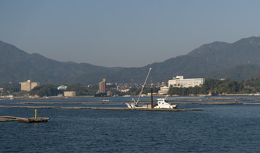 牡蠣筏
