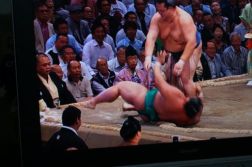 今日（16日）の取り組み