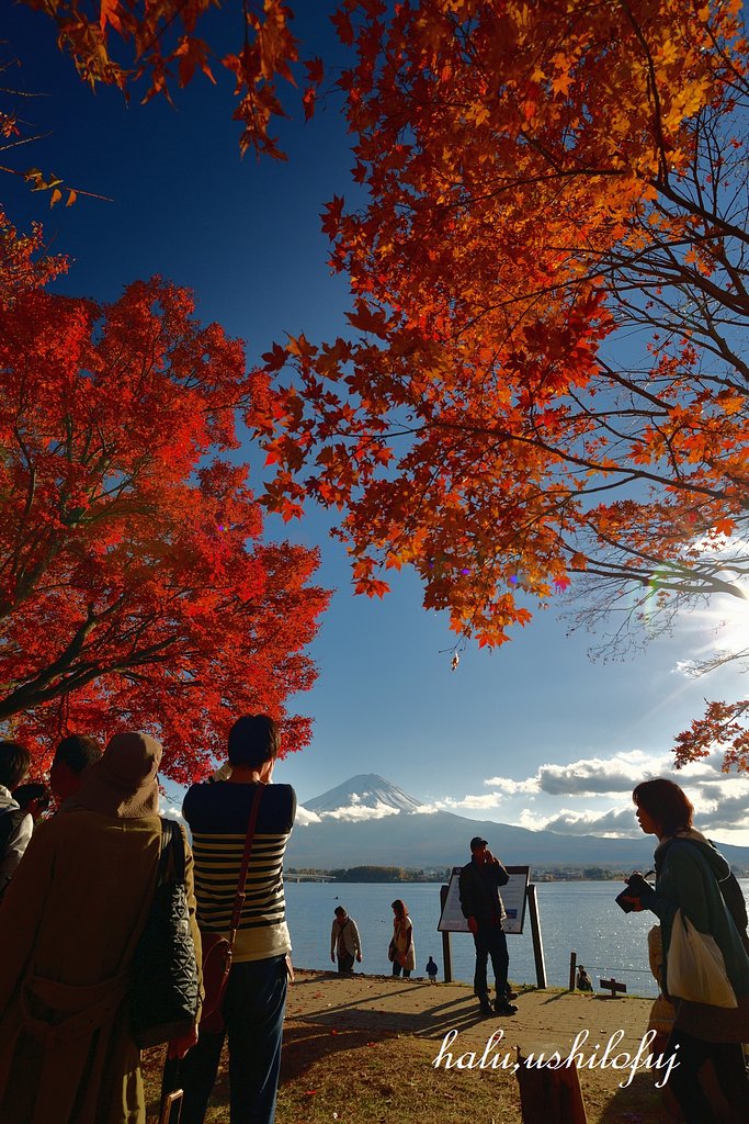人其々の紅葉