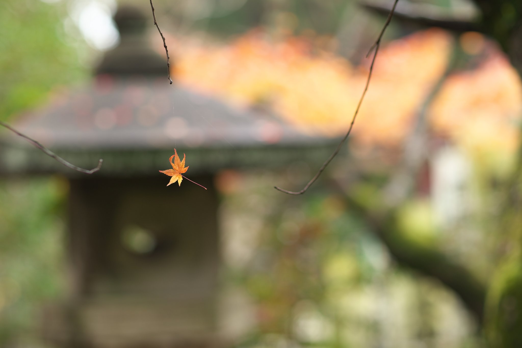 EF85 F1.2LⅡ