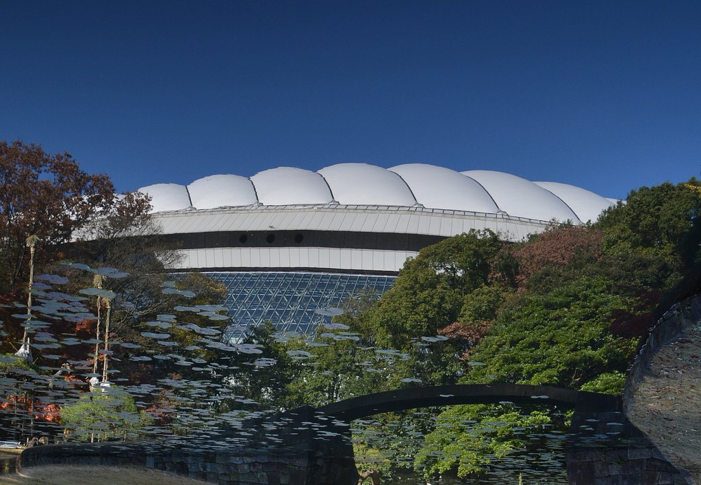 東京ドームと紅葉風景