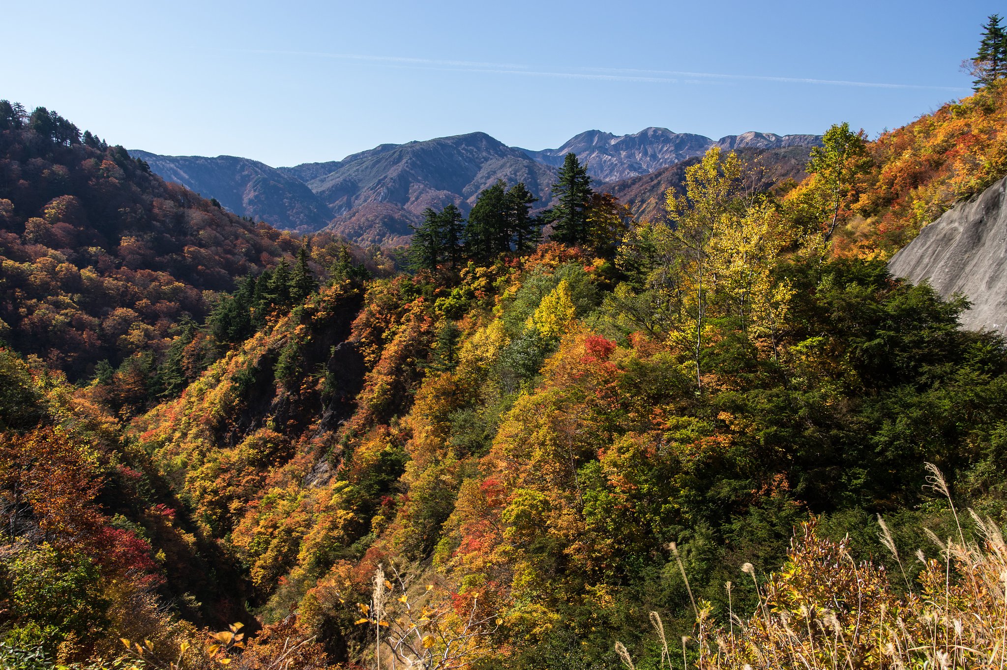 霊峰白山_秋