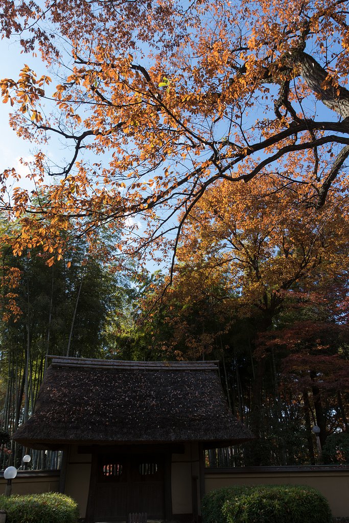 EF16-35mm F2.8 L