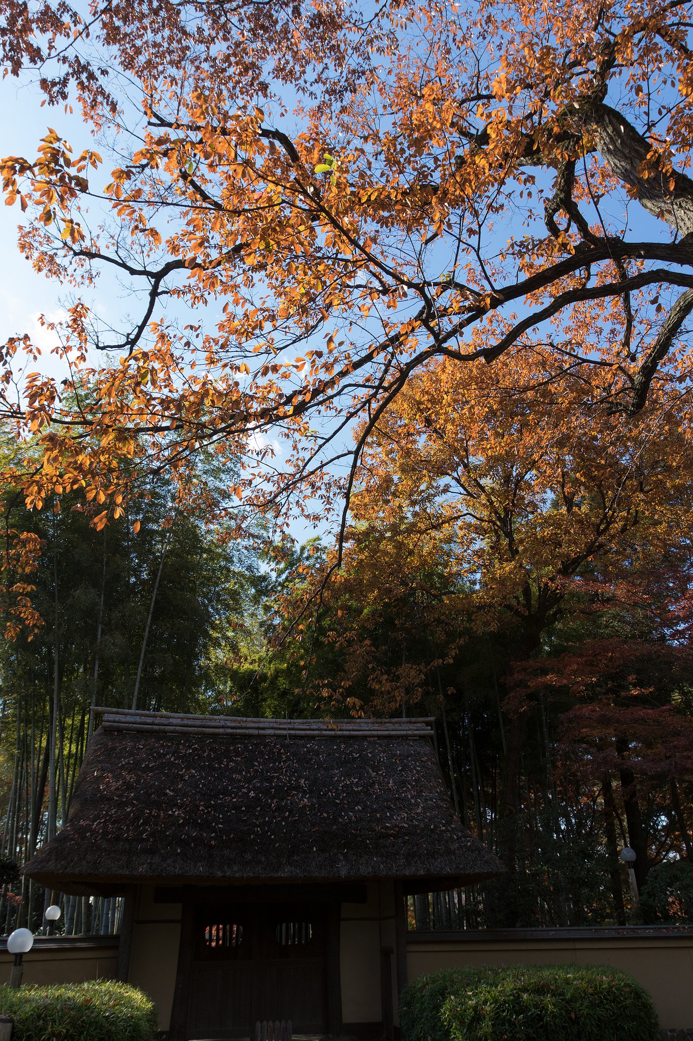 EF16-35mm F2.8 L