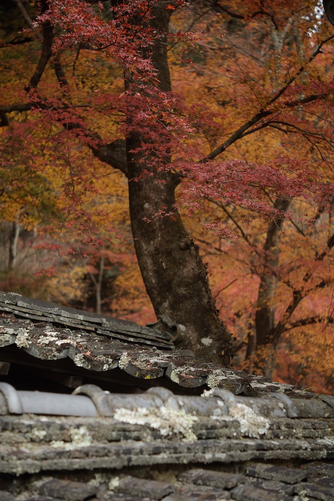 山寺