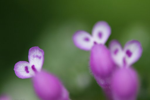 あ〜そ〜ぼ〜