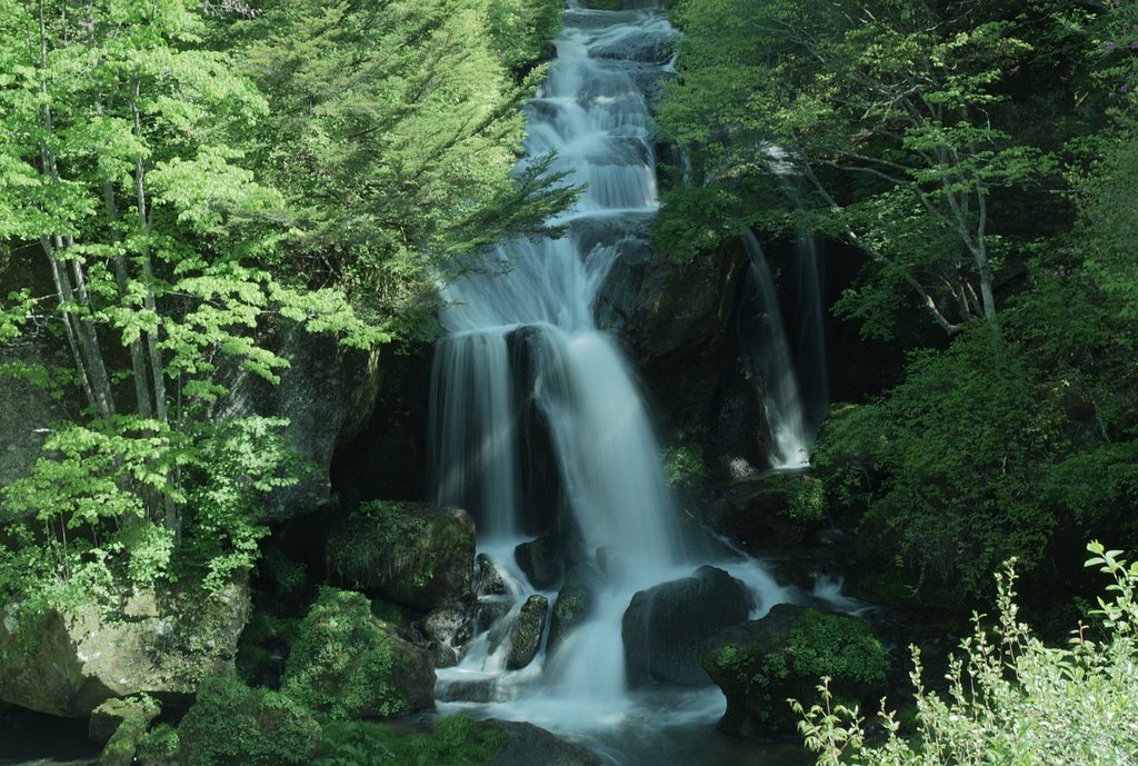 滝