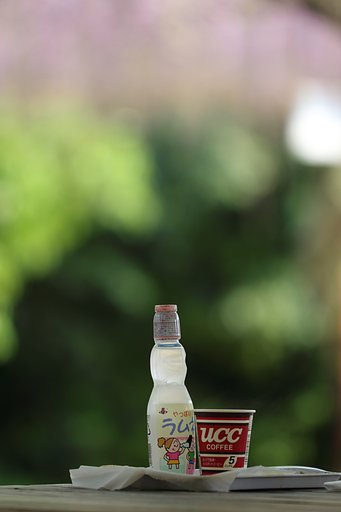 藤公園喫茶室