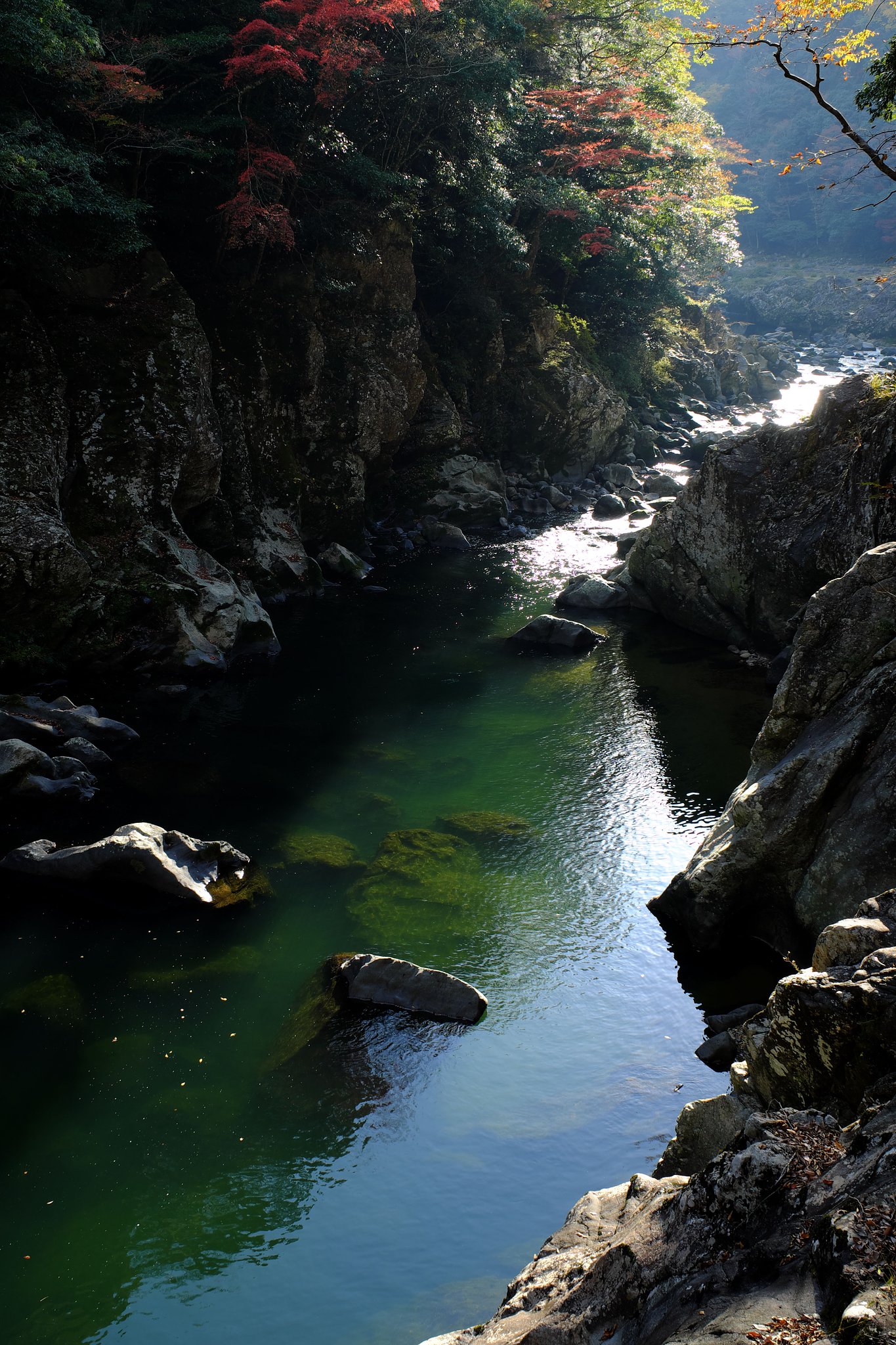 Xpro1