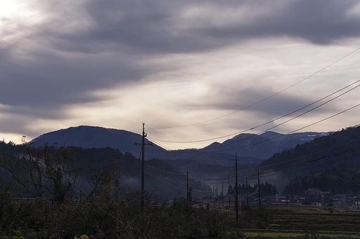 風景？