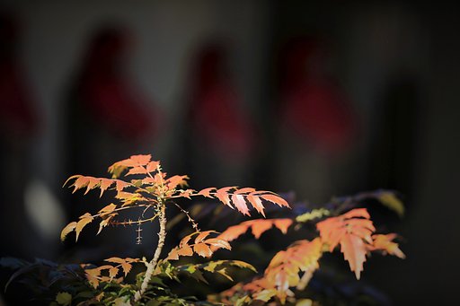 お地蔵さま