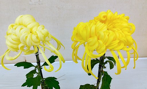4月の代表写真