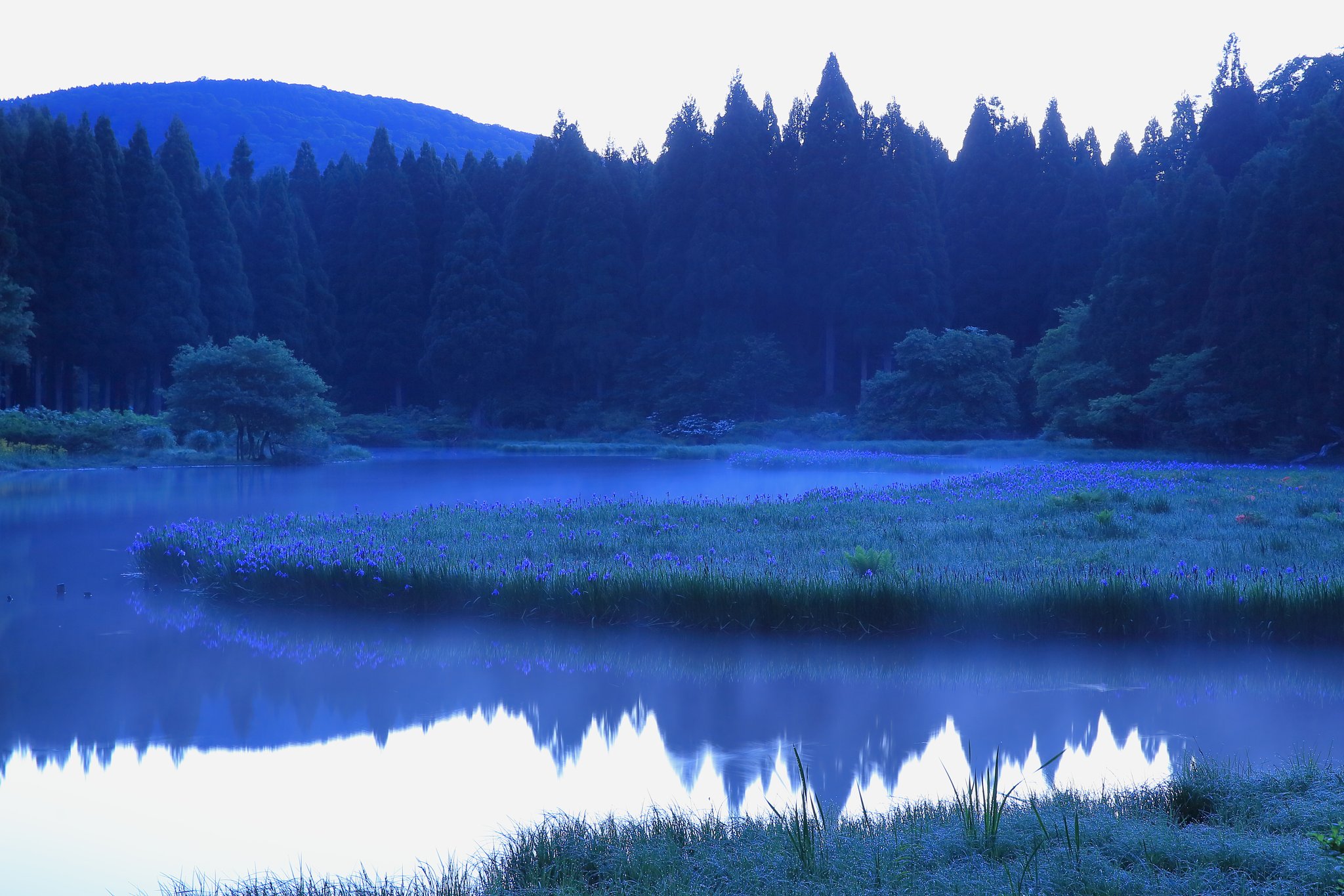 平池の目覚め