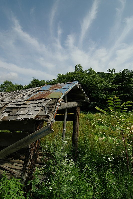 歪んだ小屋