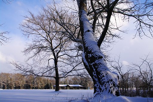 すっかり雪景色