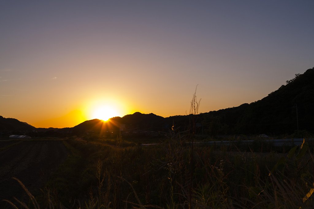 夕焼けに。
