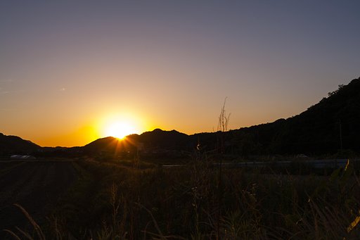 夕焼けに。