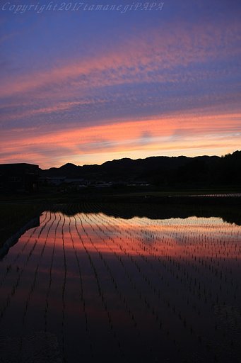 夕焼け