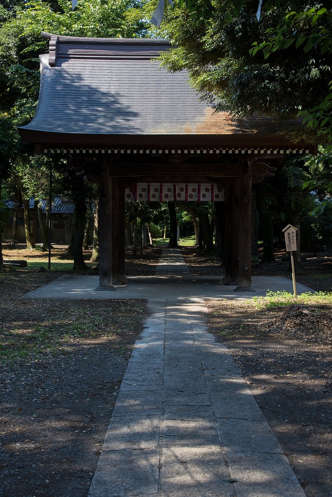 木漏れ日の随神門