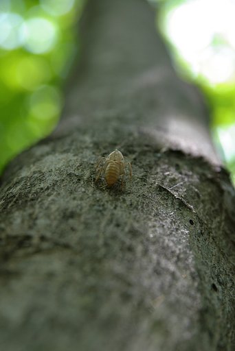 登っていく