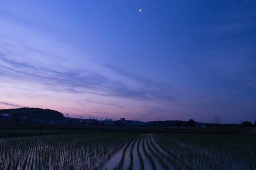 夜明け前_夏至前日