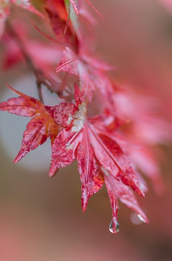 時の雫