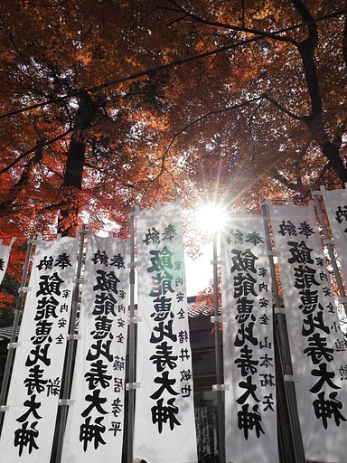 ダイヤモンド紅葉