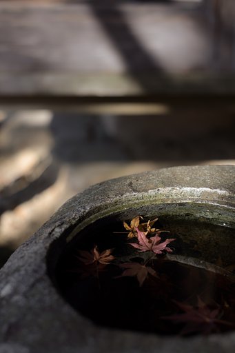 Y/C P50mmF1.4
