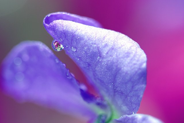 水滴
