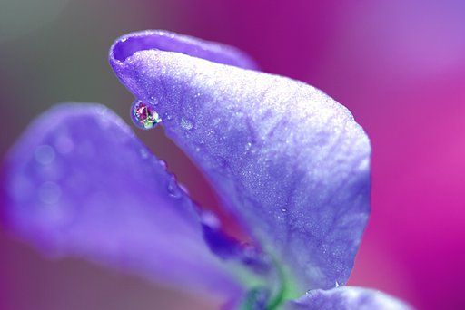 水滴