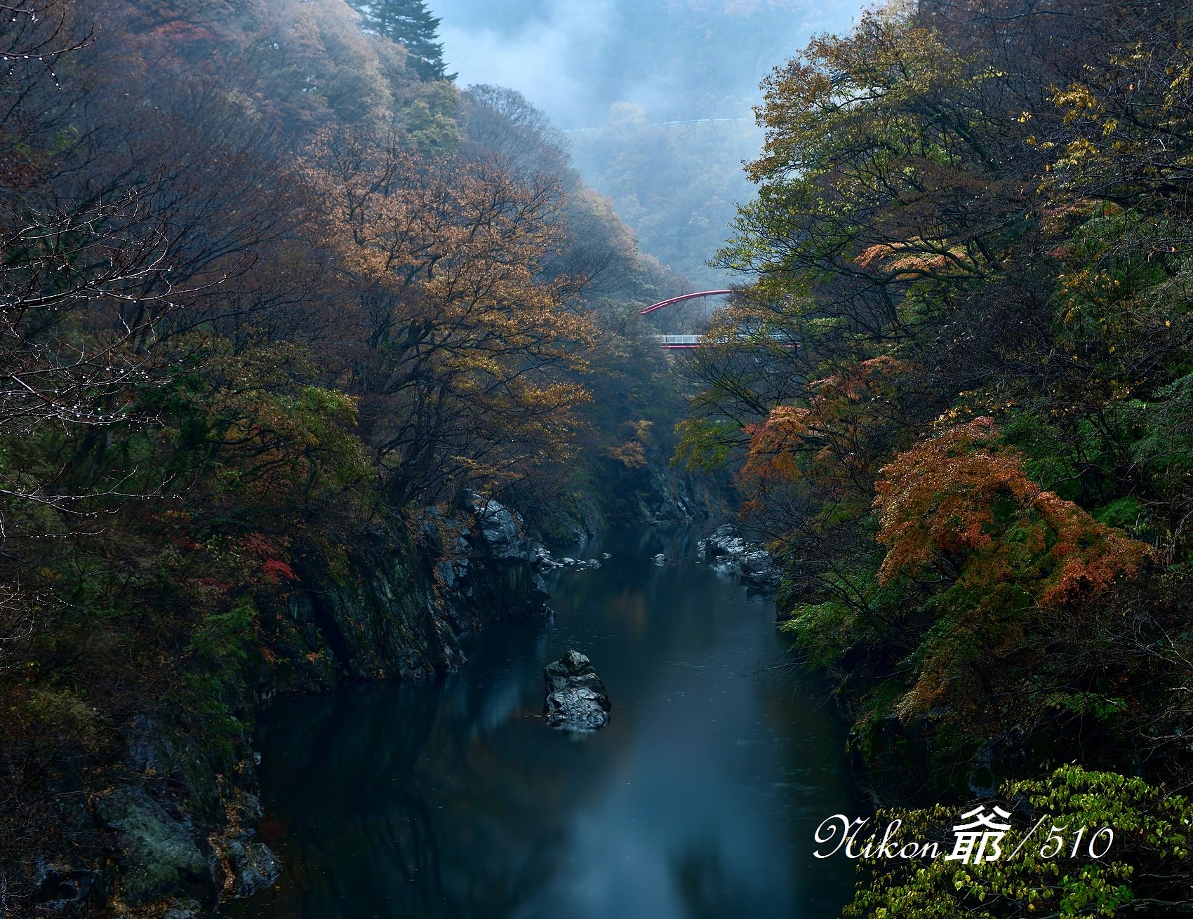雨音の渓谷